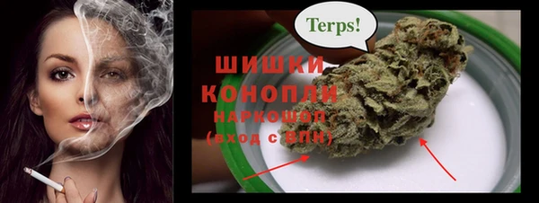 spice Снежногорск