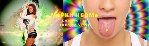 индика Слюдянка
