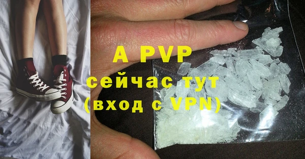 прущие грибы Бугульма