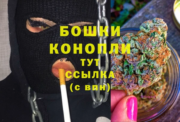 PSILOCYBIN Белоозёрский