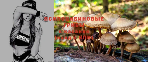 spice Снежногорск